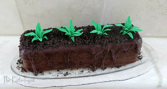 Carrot Patch Cake