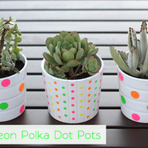 Decora tus macetas con dots neón